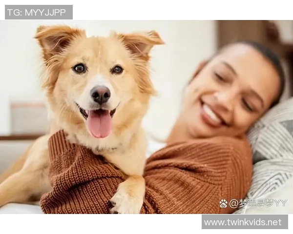 养狗的足球明星们如何在绿茵场上与爱犬共度快乐时光