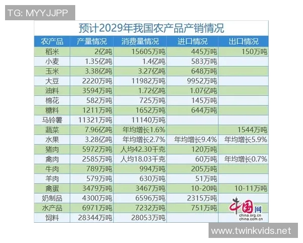 广州篮球队在世锦赛中的节奏表现分析与未来展望