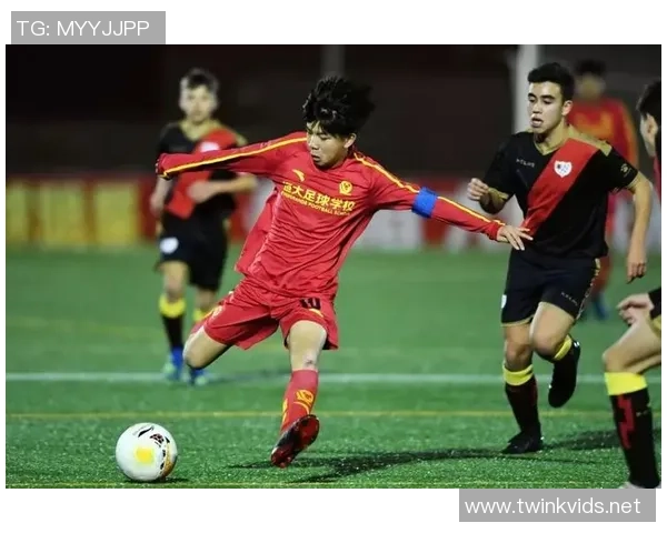 武汉足球队与南京足球队赛后分析：力量对抗与战术较量的深度探讨