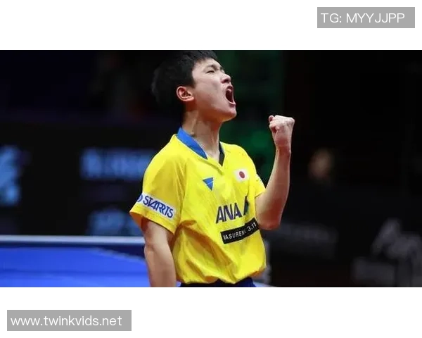 深圳乒乓球队实力分析与表现评估的综合研究报告