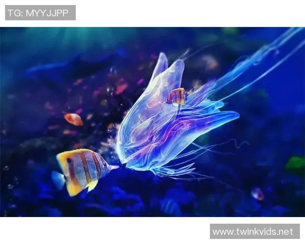 足球明星与海洋的亲密接触打鱼视频素材带你领略不一样的运动魅力