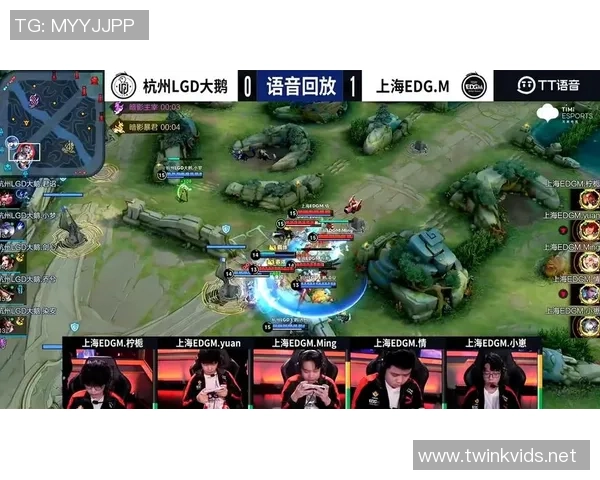 聚焦王者荣耀：EDG的战术话题