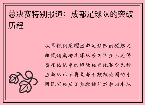 总决赛特别报道：成都足球队的突破历程